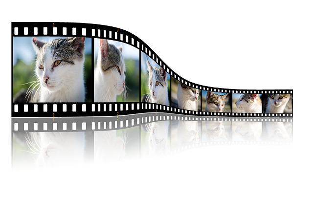 Photo Video Movie Logo