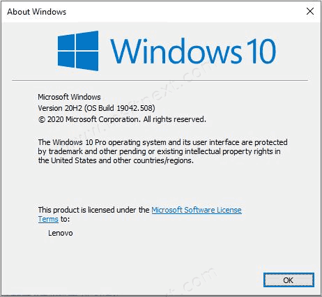 Windows 10 20H2 Winver