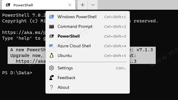 Windows Terminal Profiles