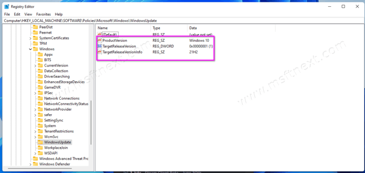 Block Windows 11 Upgrade In The Registry Of 21h2