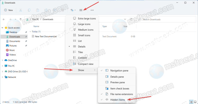 Windows 11 Show Hidden Files in File Explorer