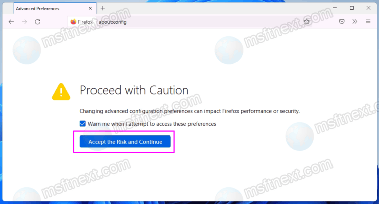 Firefox Accept Risks