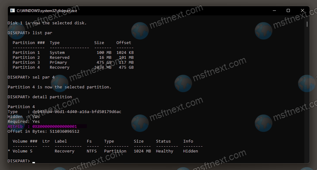 Windows 11 Hidden Partition