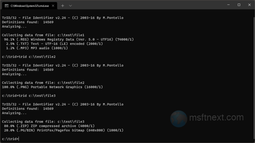 Determine the type of the file with TrID